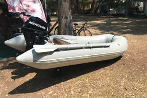 Mercury 9.9 più Tender