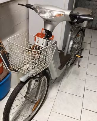 Bicicletta con pedalata assistita