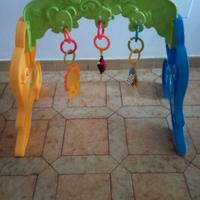 Palestrina neonato/a