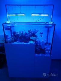 Acquario marino drop off