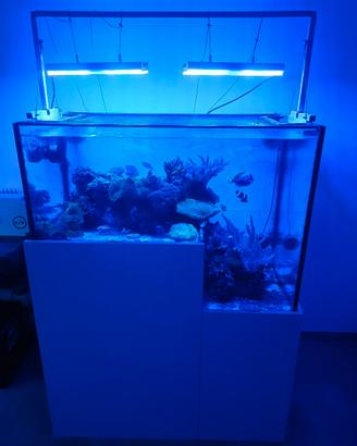Acquario marino drop off