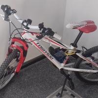 MTB 20" TORPADO Tiger T625 per bambino/a