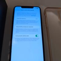 iPhone 11 pro max 256 GB