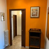 2 camere singole luminose via Mentana wifi parcheg