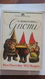 SEGRETO DEGLI GNOMI
