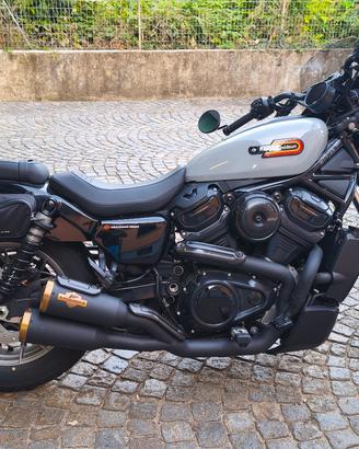 Harley Davidson nightster 975 S