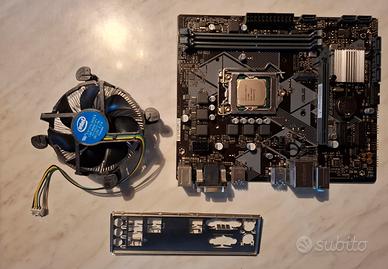 ASUS Prime B365M-K + Intel i3-9100F + 8 GB RAM