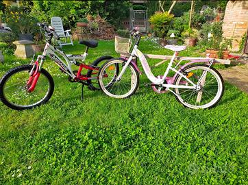 2 biciclette