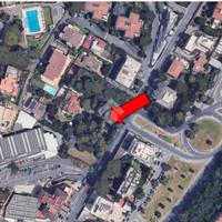 TER. AGRICOLO A ROMA