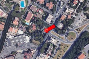 TER. AGRICOLO A ROMA