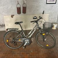 Bicicletta Bianchi spillo donna
