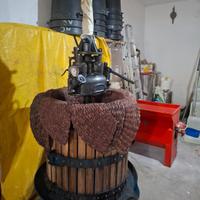 Torchio idraulico per uva
