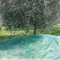 Rete raccolta olive 6 x 6 con apertura