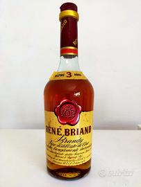 Renè Briand