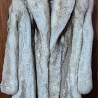 Volpe della Groenlandia