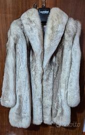 Volpe della Groenlandia