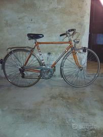 Bici da uomo
