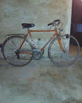 Bici da uomo