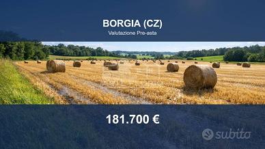Immobile in asta di 8570 m² a Borgia