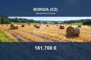Immobile in asta di 8570 m² a Borgia