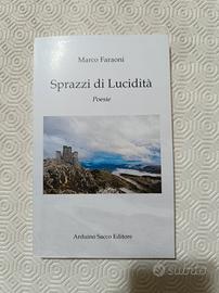 Sprazzi di lucidità 