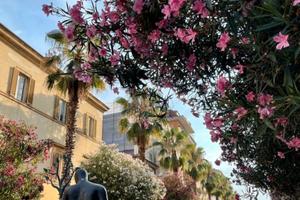 Casa vacanza san benedetto del tronto centro