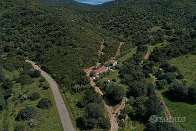 Casa indipendente campagna