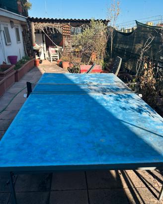 Tavolo ping pong