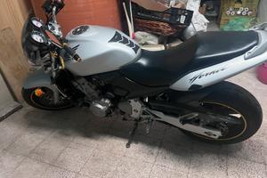 Honda hornet 600