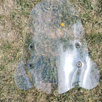 Parabrezza HONDA SPX