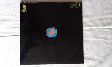 Lp 33 giri in vinile