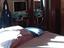 Immagine 12