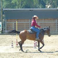 Sottosella Billy cook