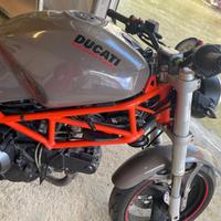 Ducati monster