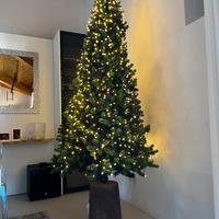 Albero di natale