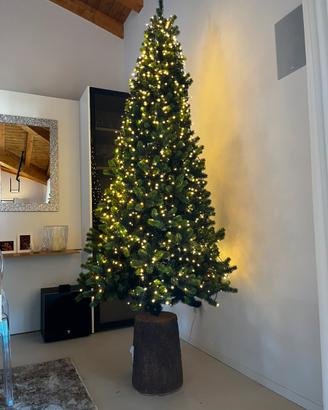 Albero di natale