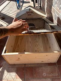 Si realizzano terrari di varie misure