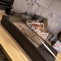 Caminetto Bioetanolo