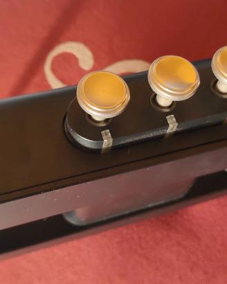 Yamaha EZ-TP  tromba elettronica