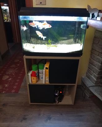 acquario 60 lt più mobile più filtro esterno