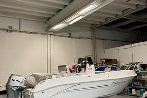 Open Bluline 19 + BF40E