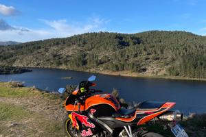 Honda CBR 600 - 2005