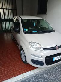 panda 1.2 