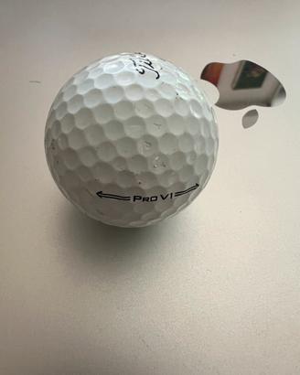 Titleist PRO V1
