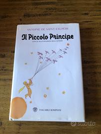 Il piccolo principe