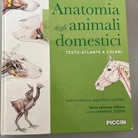 Anatomia degli Animali Domestici - König e Liebich