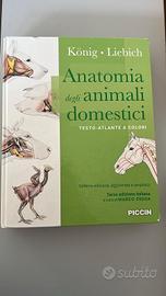 Anatomia degli Animali Domestici - König e Liebich