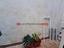 Immagine 10