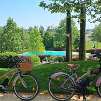 CRUISER MOTORE 80NM COPPIA BATTERIA 720W-20 Ah