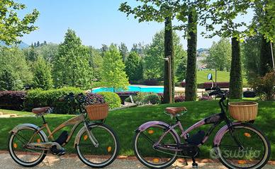 CRUISER MOTORE 80NM COPPIA BATTERIA 720W-20 Ah